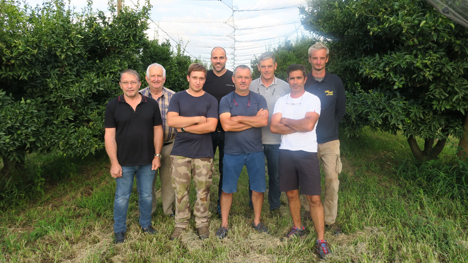 Producteur citrons corse coopÃ©rative Uni-Vert en France - Jus concentrÃ© bio citron corse
